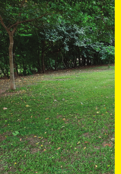 Contracapa do zine Code Incomplete Zine - Edição Especial: Estruturas de Dados Lineares (2025)